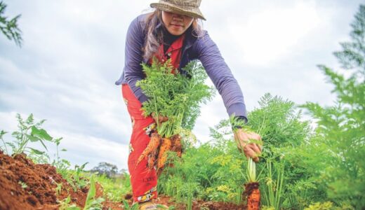 趣味で自給自足できる時代？　５０代セミリタイア　働かないで暮らす方法