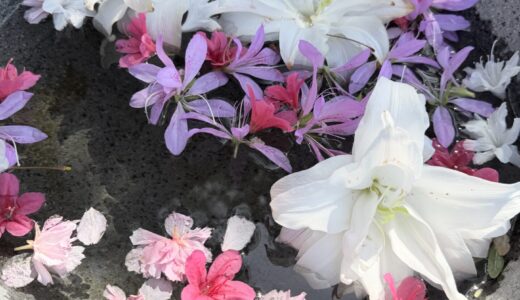 カテゴリー変更しました