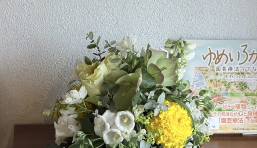 60代セミリタイア主婦　いまの過ごし方