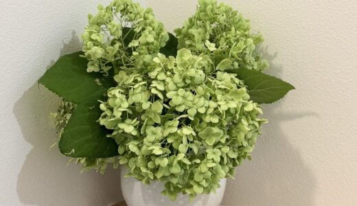 我が家の暑さ対策①　28℃設定でも涼しいエアコン