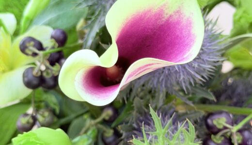 花を飾ったら、部屋が素敵空間になりました