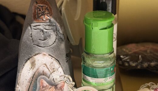 思いがけない贈り物　亡きシニア猫を想う