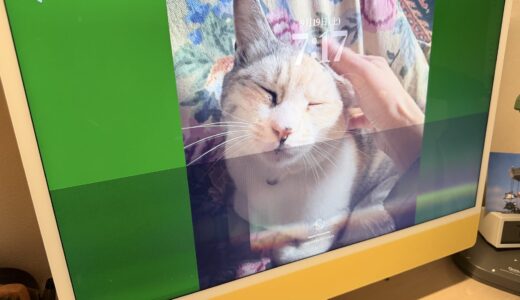 パソコンのデータ、どうしていますか？突然の不具合に慌てる